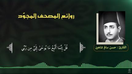 القارئ | حسن سالم شاهين