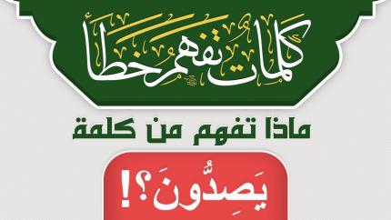 ماذا تفهم من كلمة يَصِدُّونَ ؟!