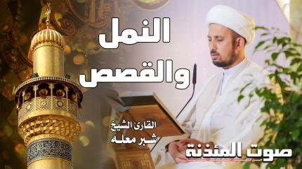 القارئ الشيخ شبر معله - سورتي النمل والقصص
