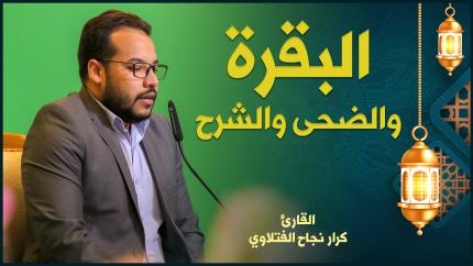 القارئ كرار الفتلاوي | البقرة والضحى والشرح