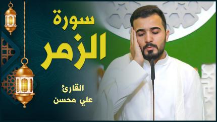 القارئ علي محسن | سورة الزمر